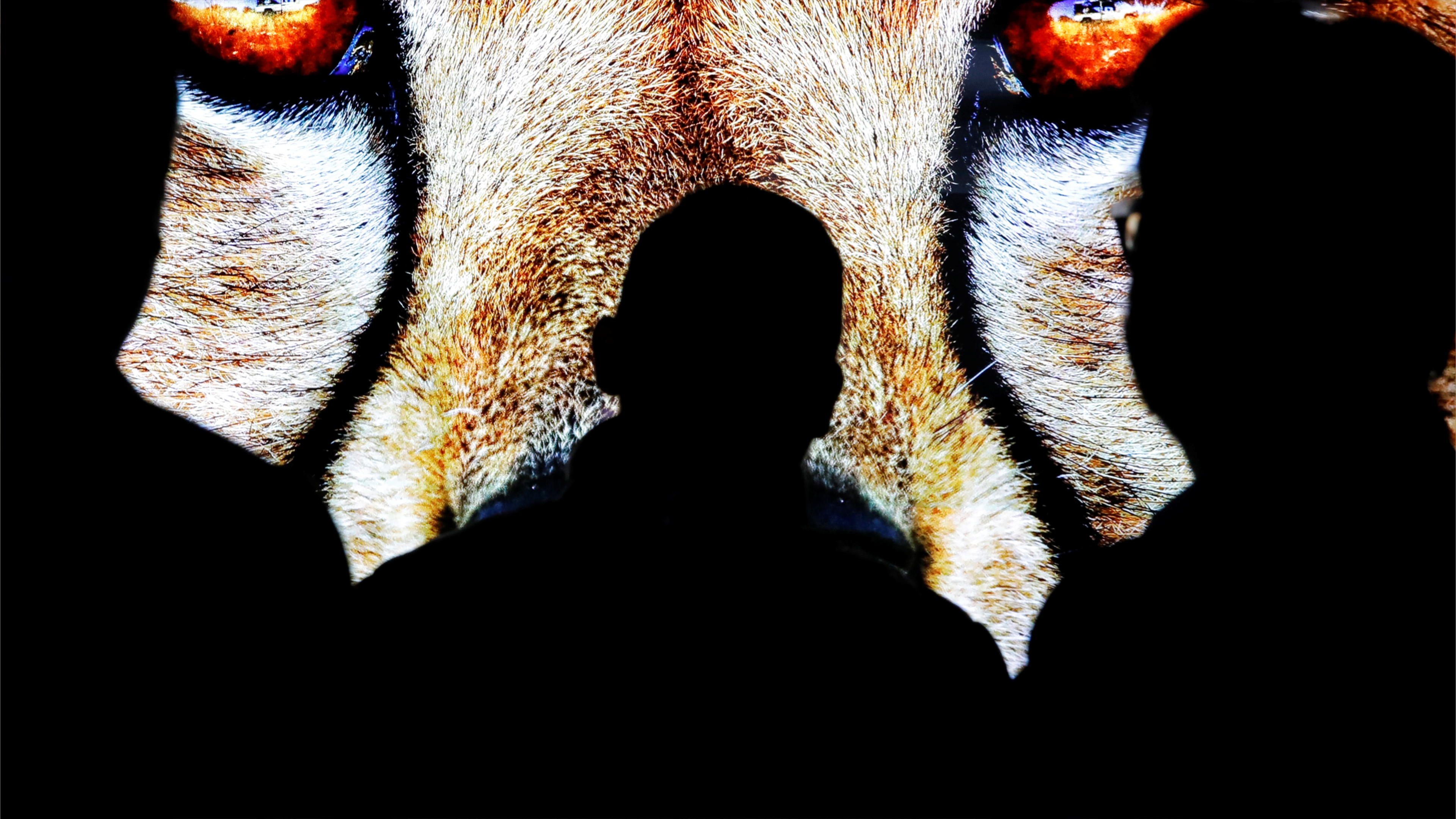 من تدمر وإدلب إلى سيدني.. تشابه كبير واختلاف واحد 