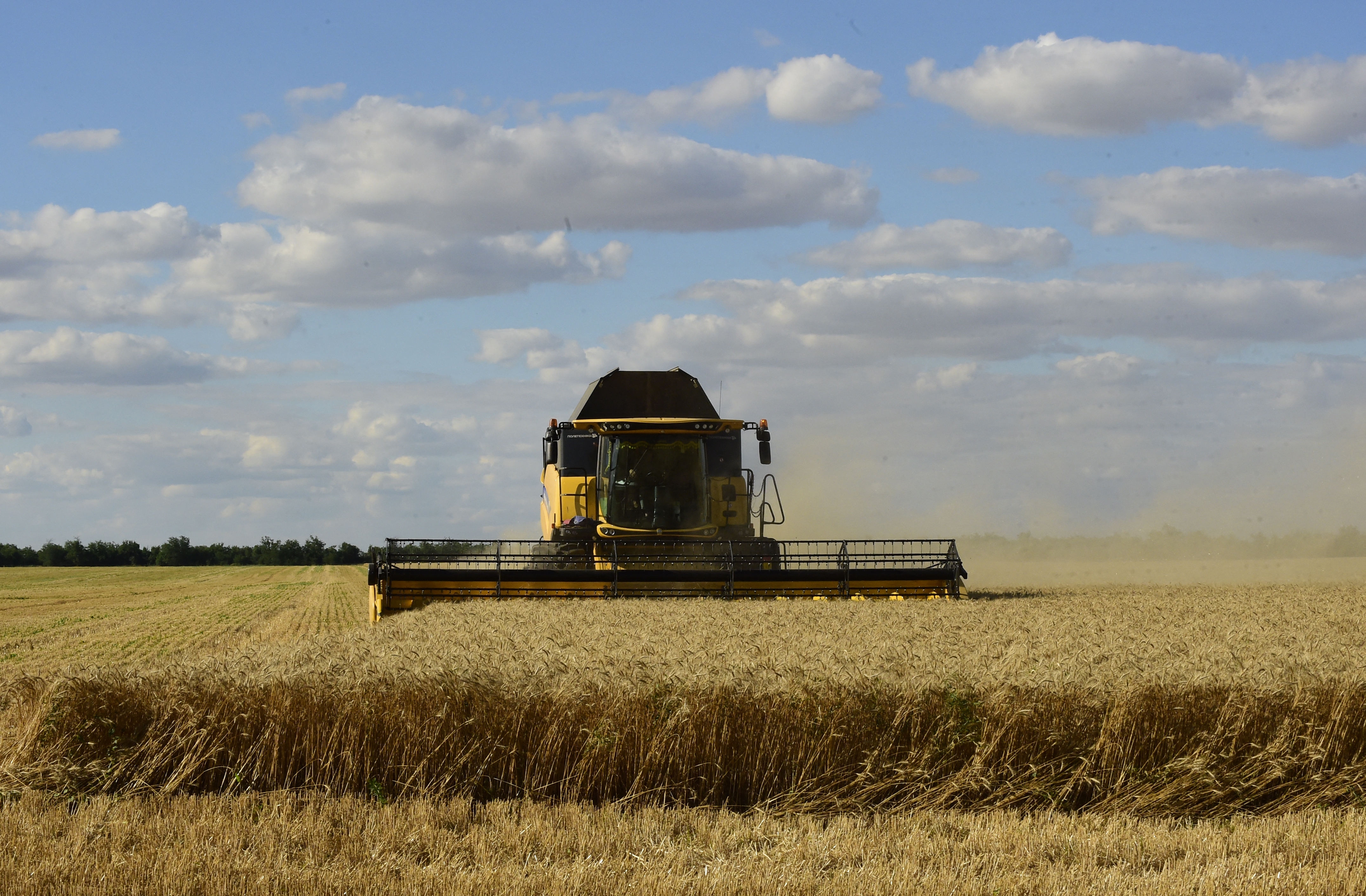 قمح موسكو في القضاء.. مطالبة سوريا بـ135 مليون دولار 