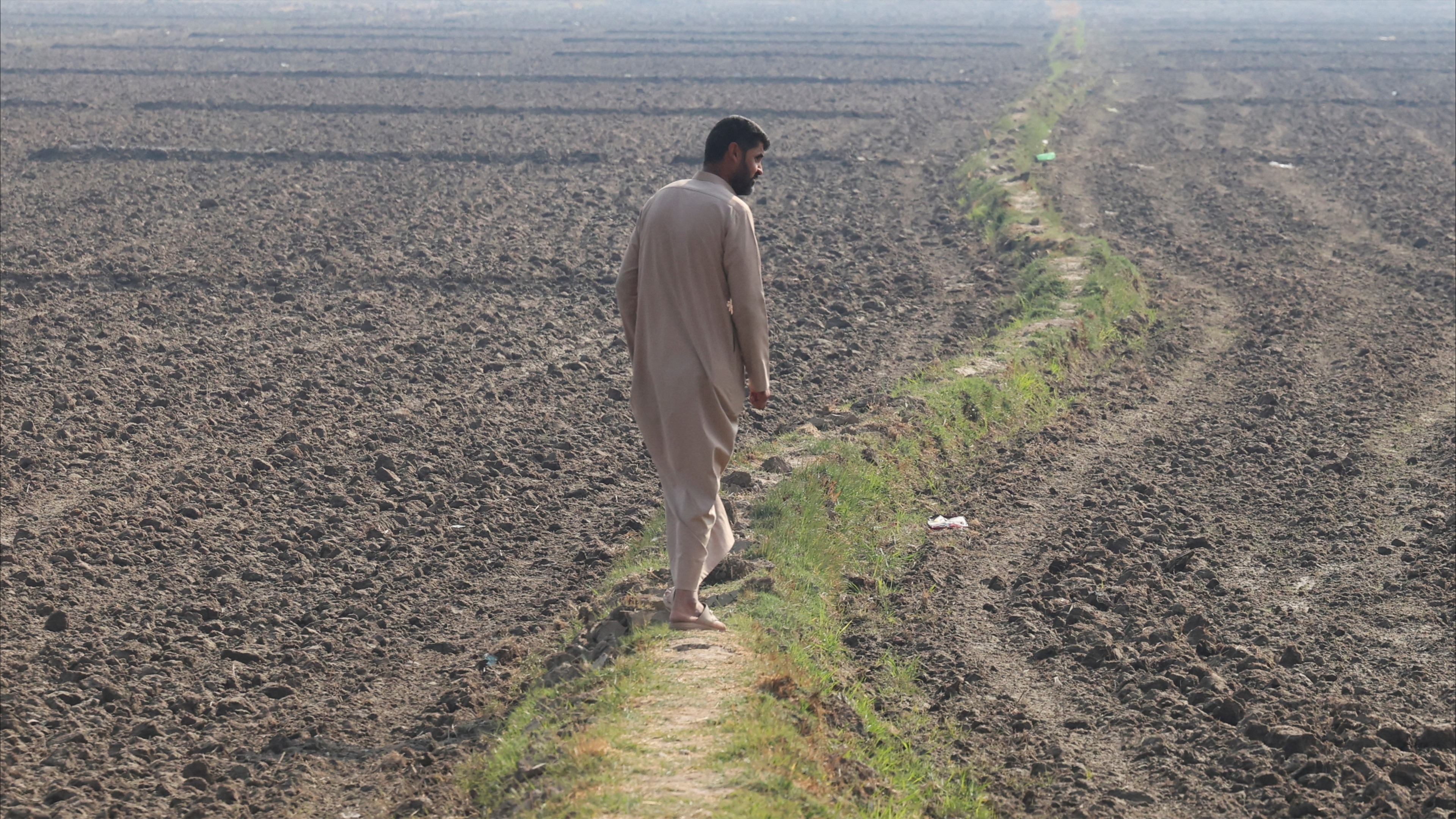 من الاكتفاء إلى الاستيراد.. كيف يخسر العراق معركة القمح؟ 