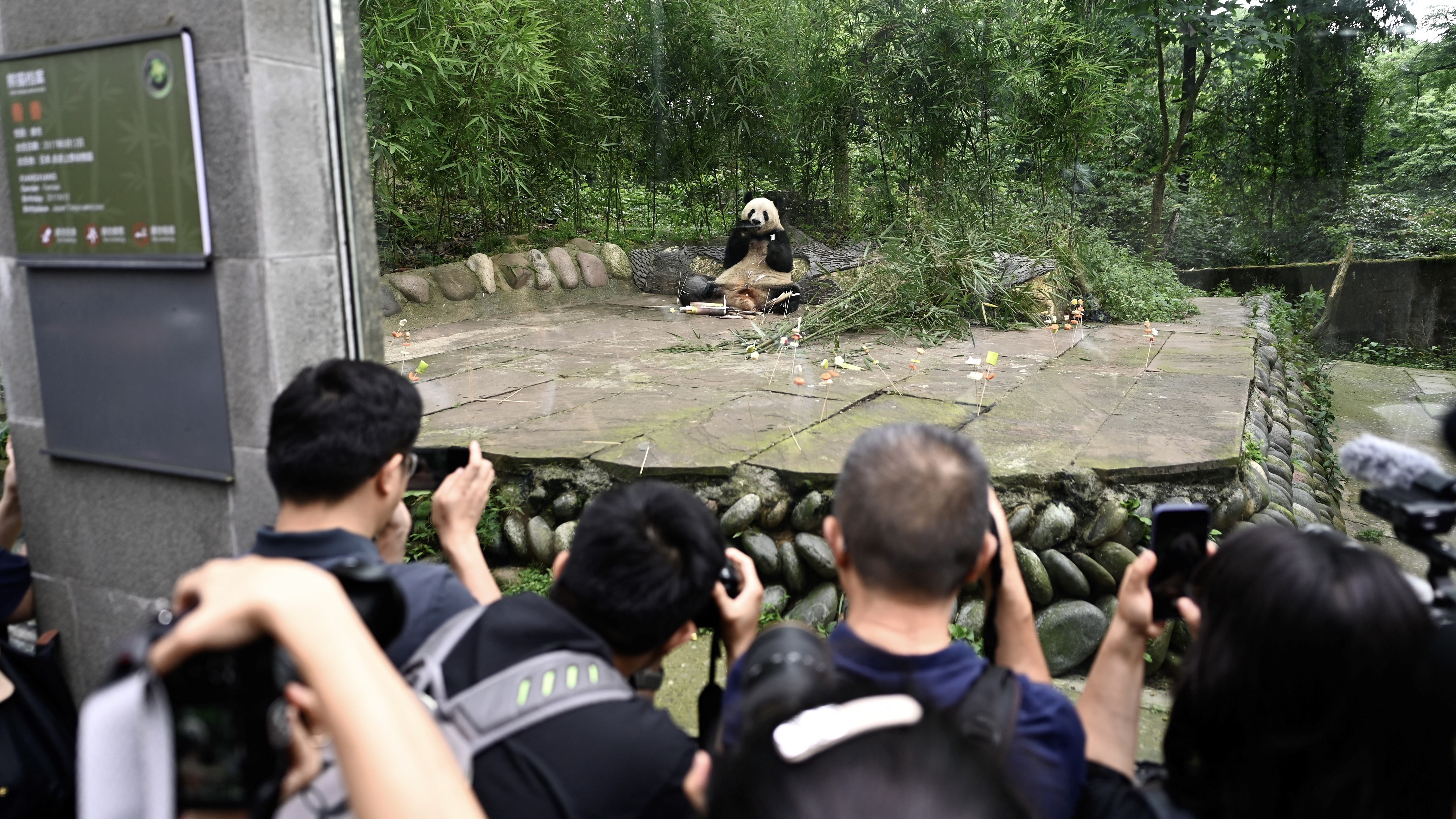 اليابان تودّع "لي لي وشاو شاو" 