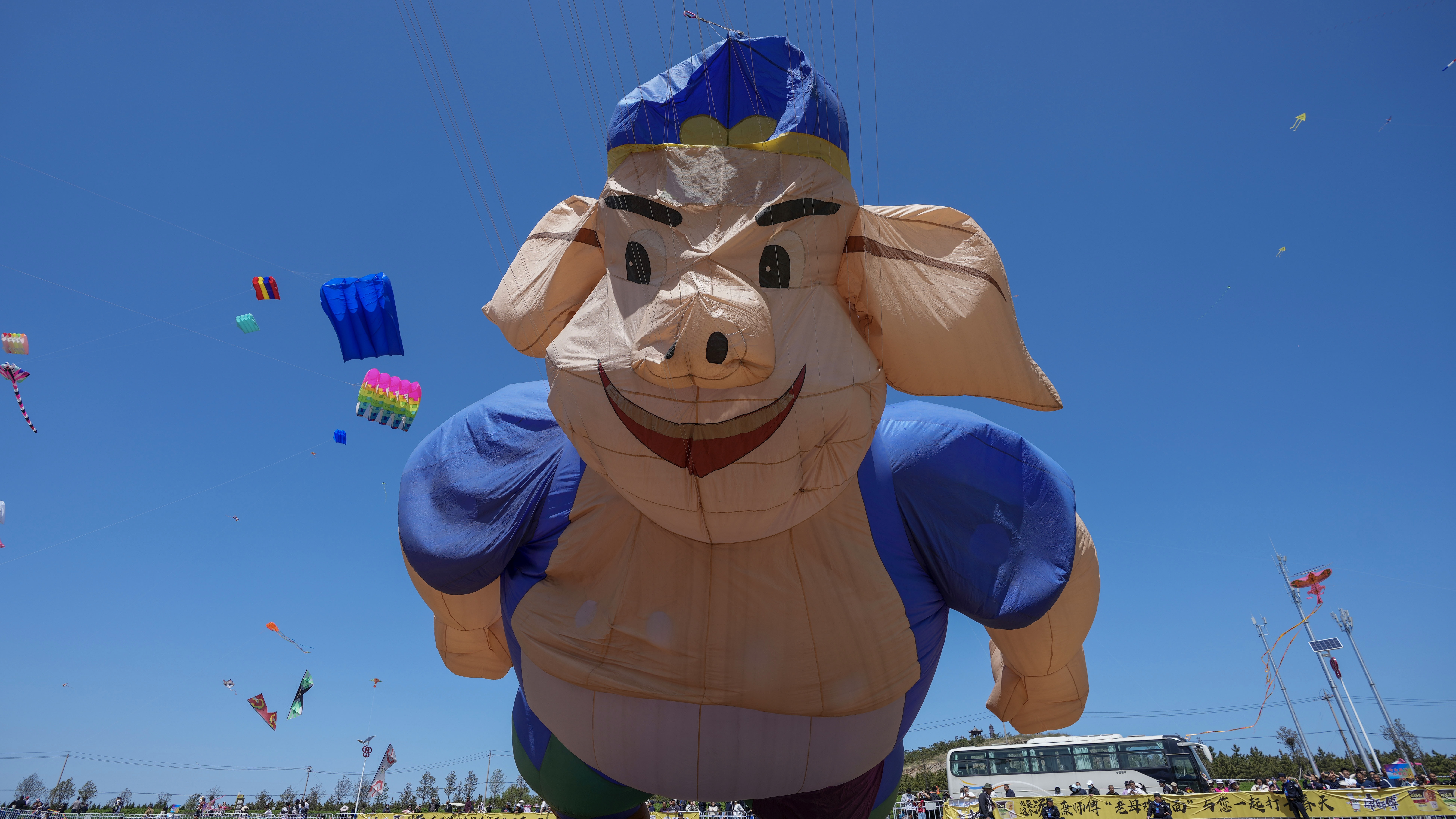 الصين تستهدف "خنزير أوروبا" بالرسوم الجمركية 