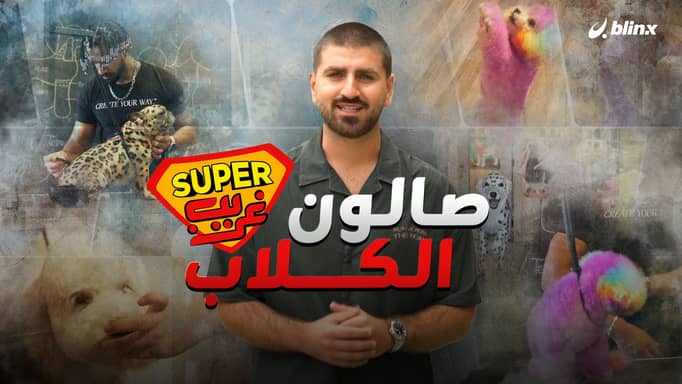 صالون الكلاب