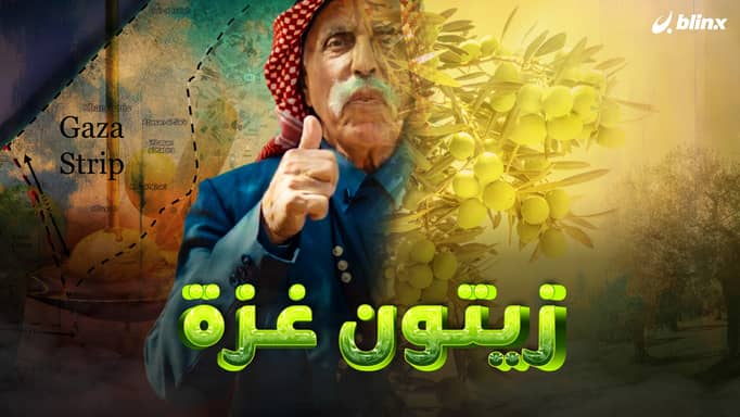زيتون غزة .. غير