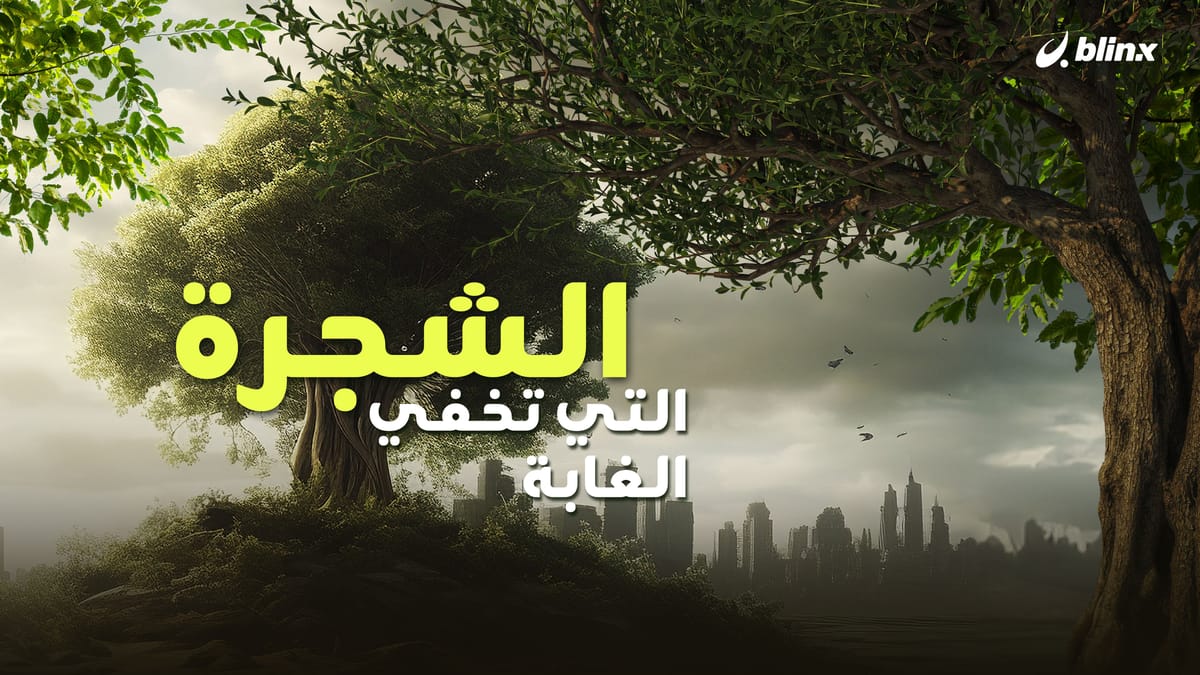 الشجرة التي تخفي الغابة -  تحديات إعادة التشجير.
