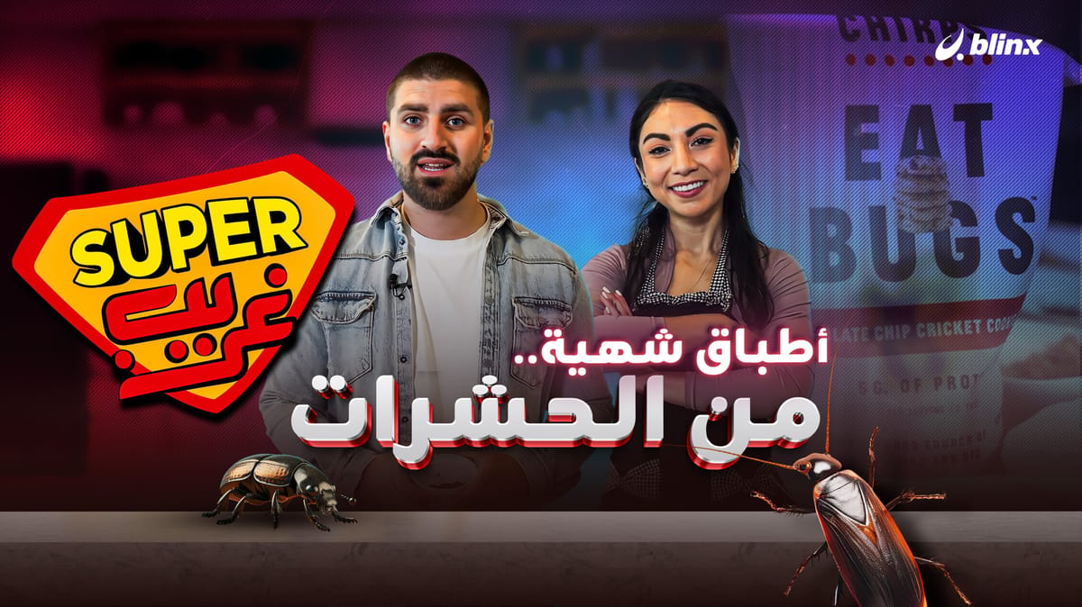 أطباق شهية.. من الحشرات