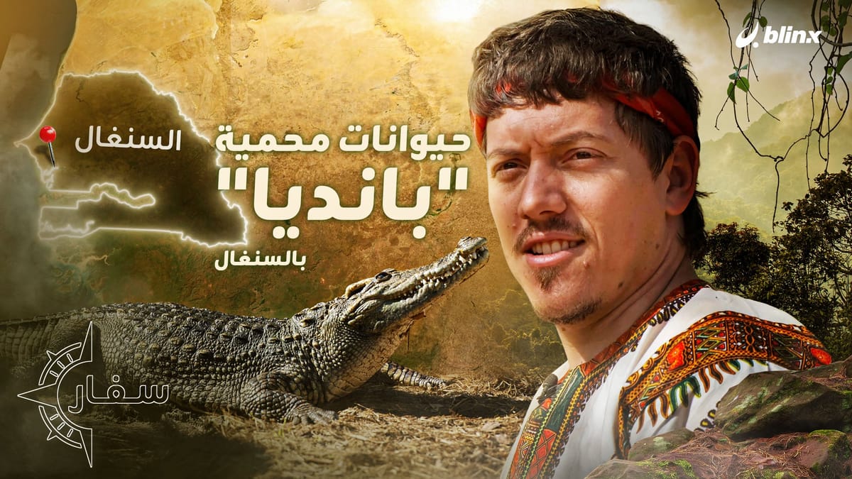 خبيب في أدغال أفريقيا.. اكتشفوا حيوانات محمية "بانديا" في السنغال