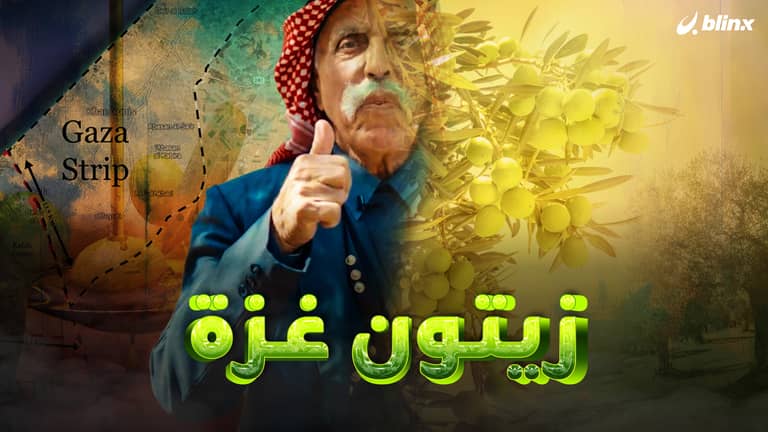 زيتون غزة .. غير
