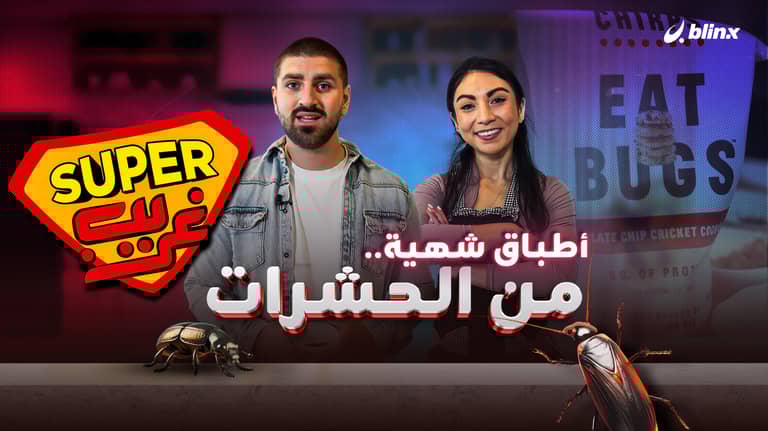 أطباق شهية.. من الحشرات