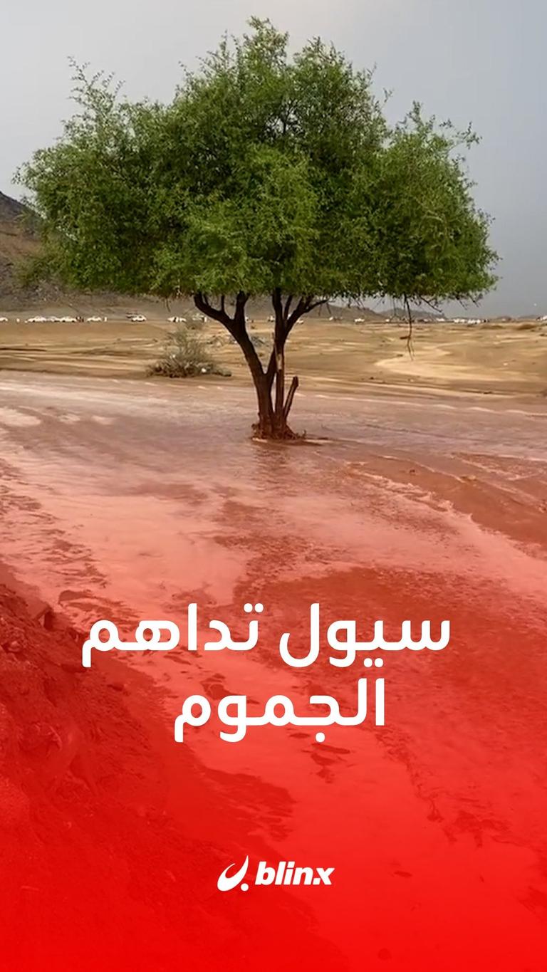 سيول تداهم الجموم