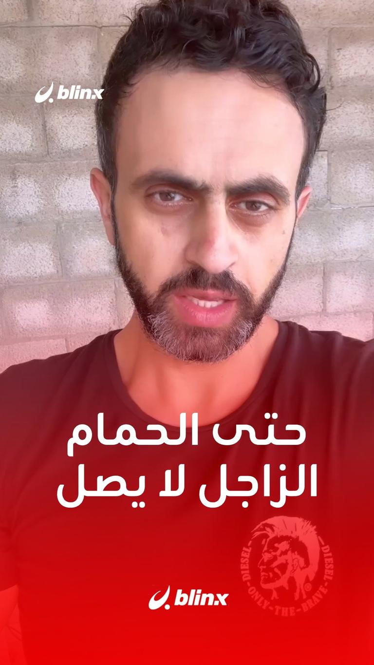 حتى الحمام الزاجل لا يصل