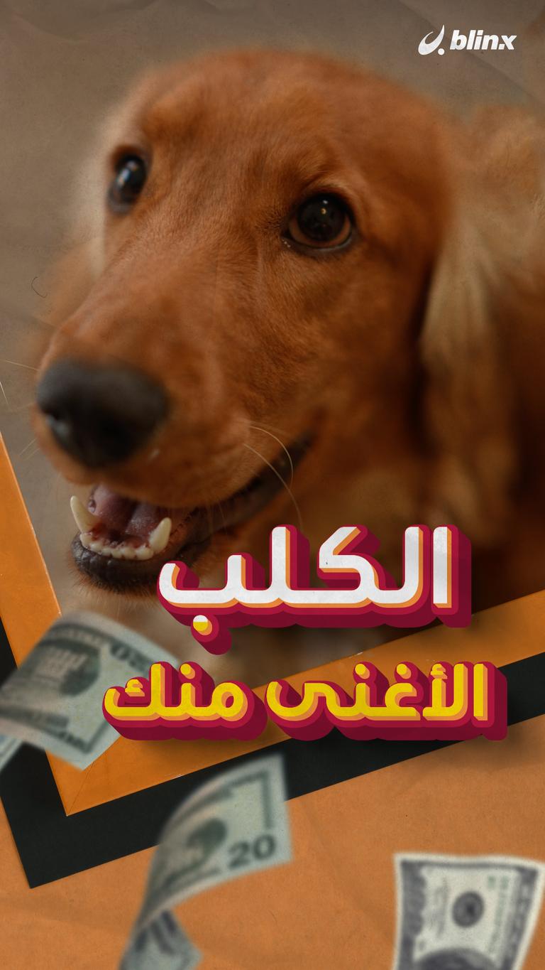 الكلب الأغنى منك