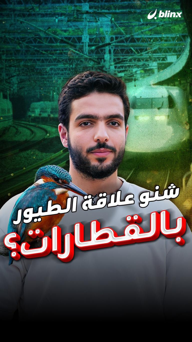 شنو علاقة الطيور بالقطارات؟