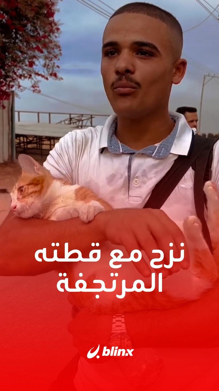شاب يحمل قطته المرتجفة معه في رحلة النزوح إلى جنوب #غزة