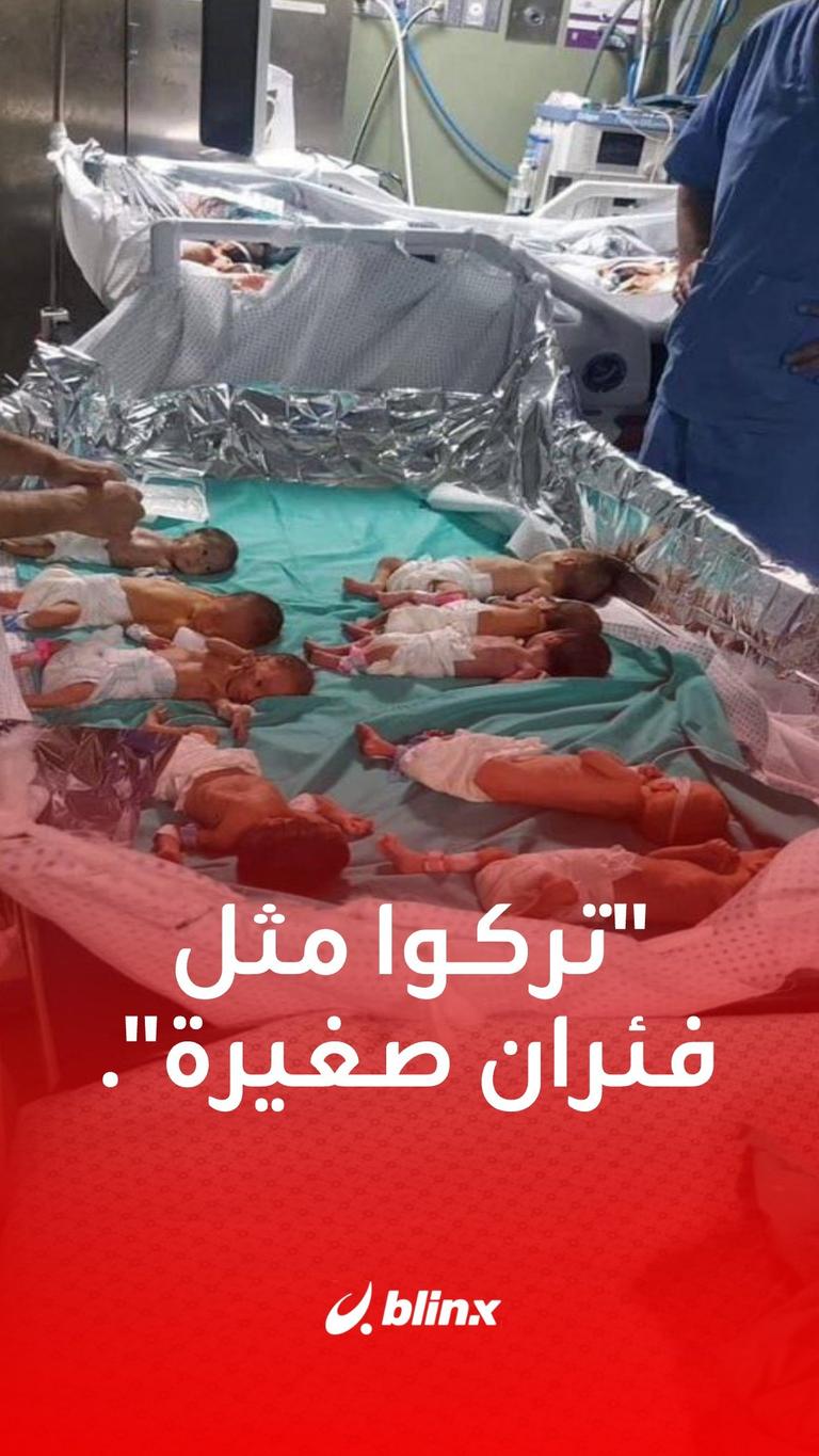 تركوا مثل فئران صغيرة.