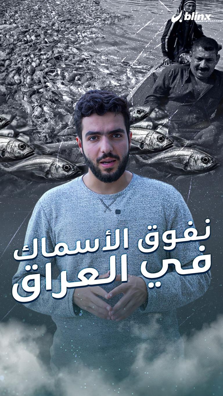 نفوق الأسماك وأزمة المياه في العراق