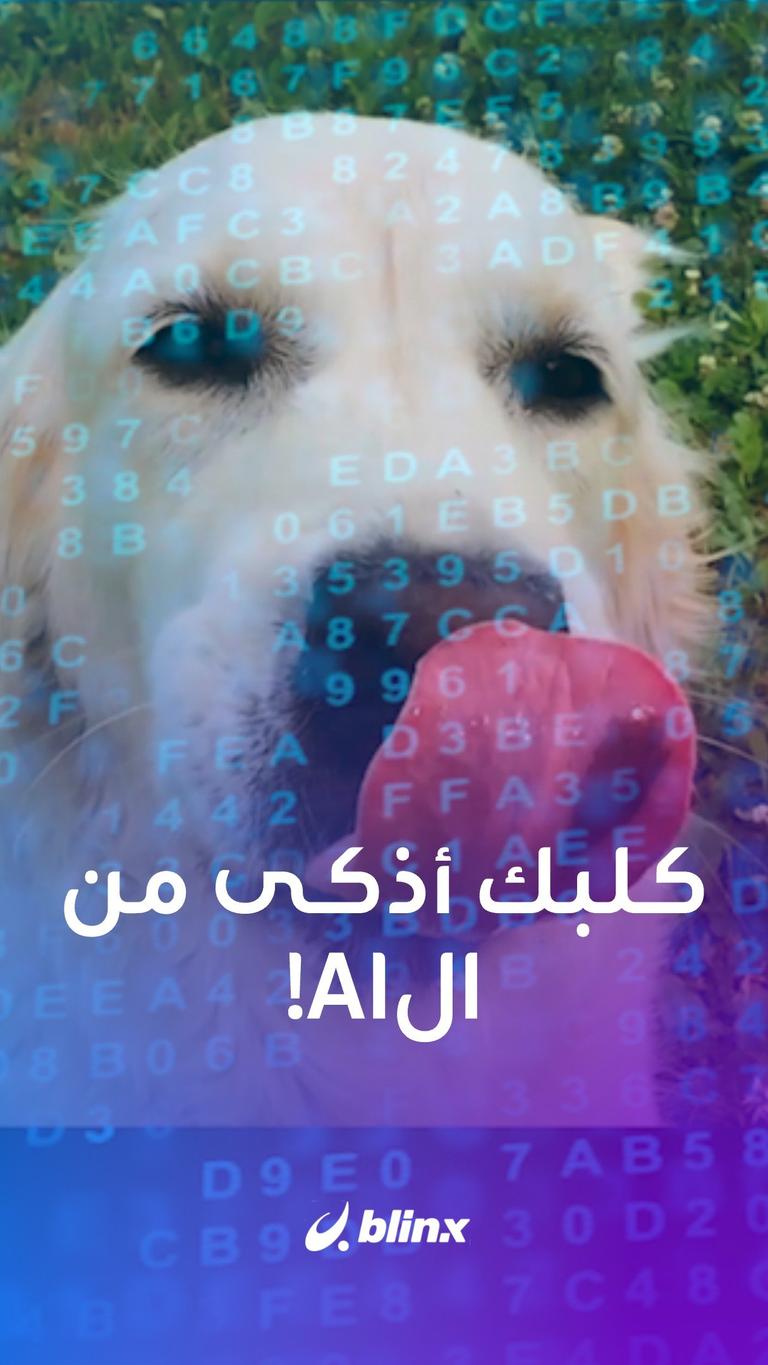 كلبك أذكى من الـAI!