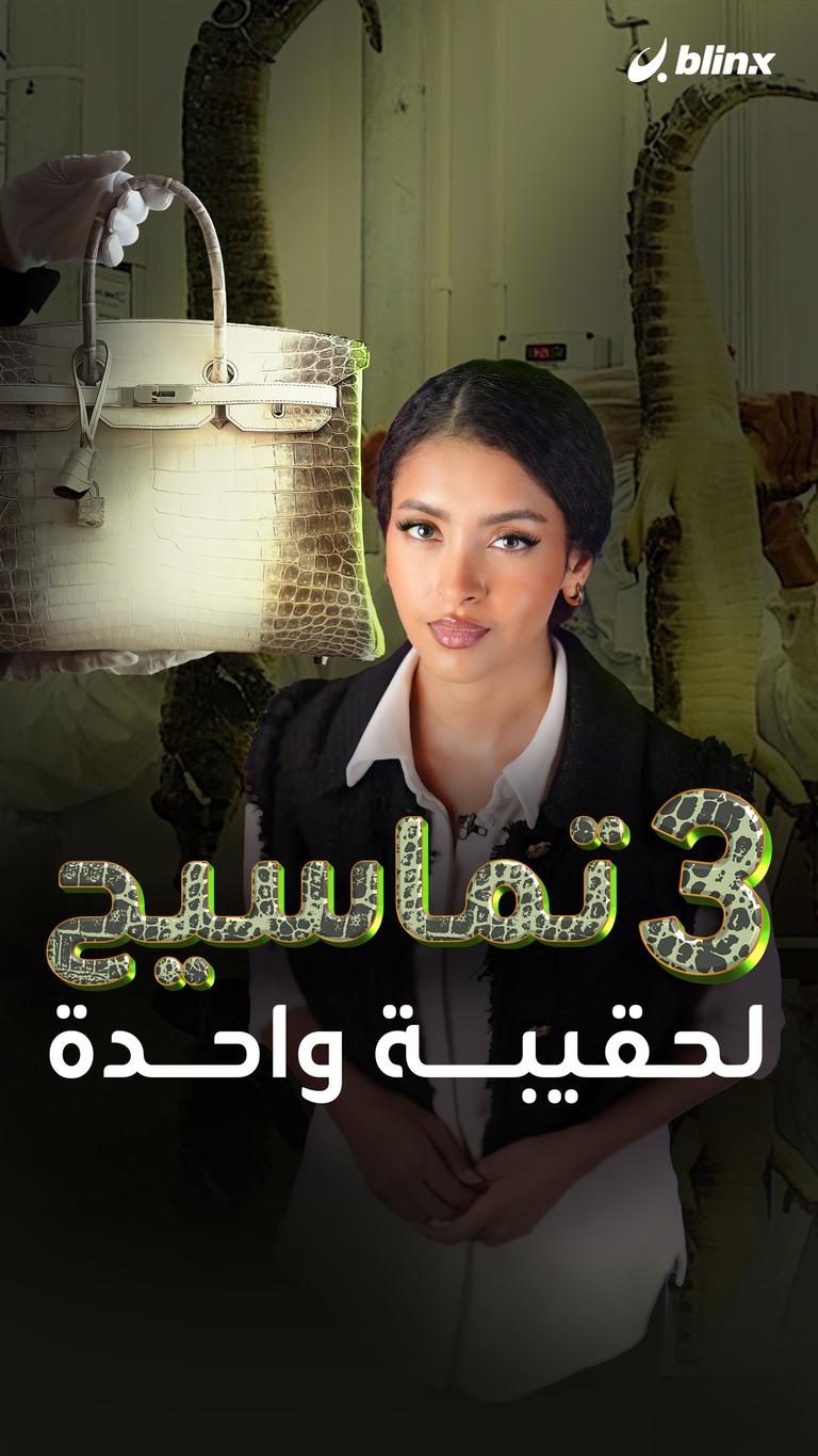 3 تماسيح لحقيبة واحدة