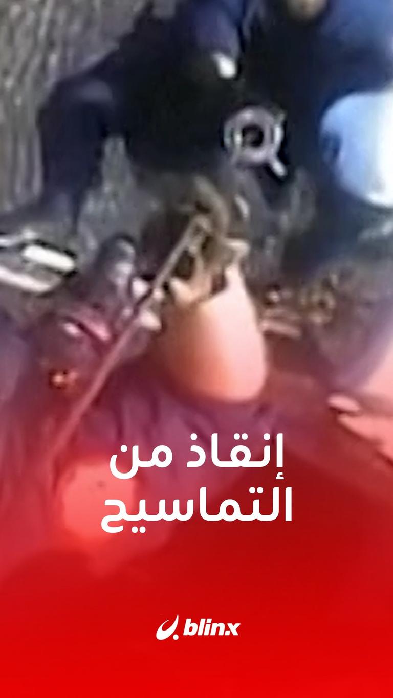 إنقاذ من التماسيح