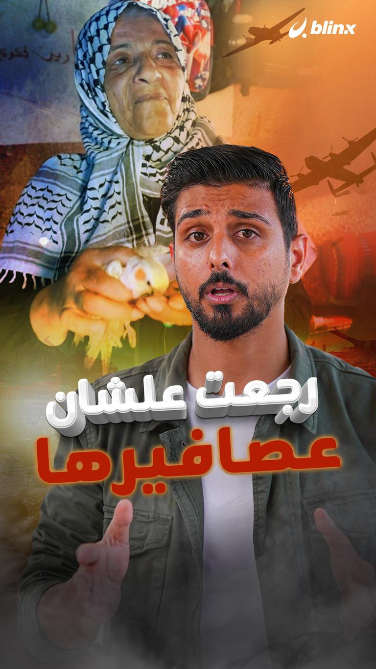 رجعت علشان عصافيرها
