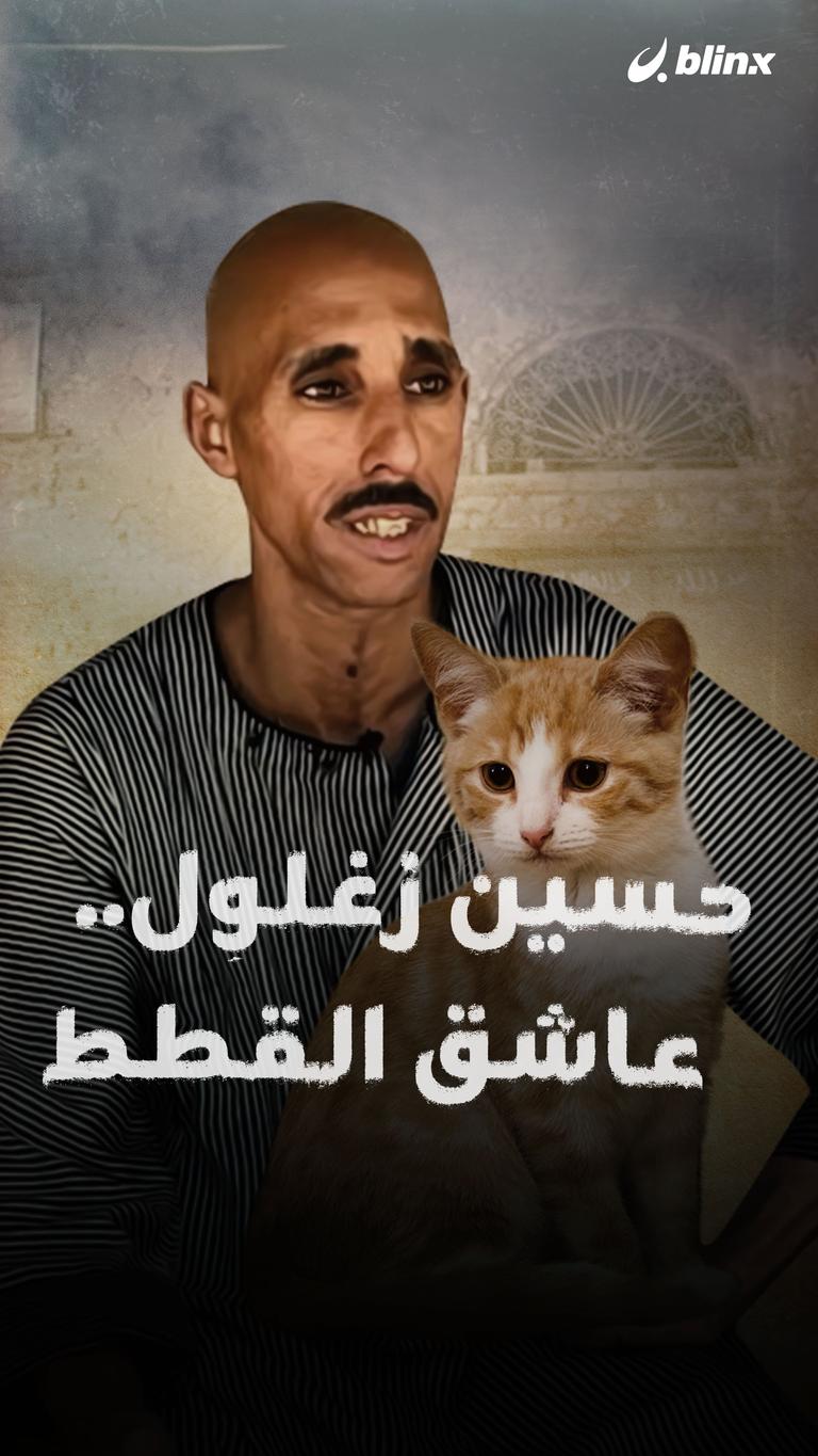 حسين زغلول.. عاشق القطط