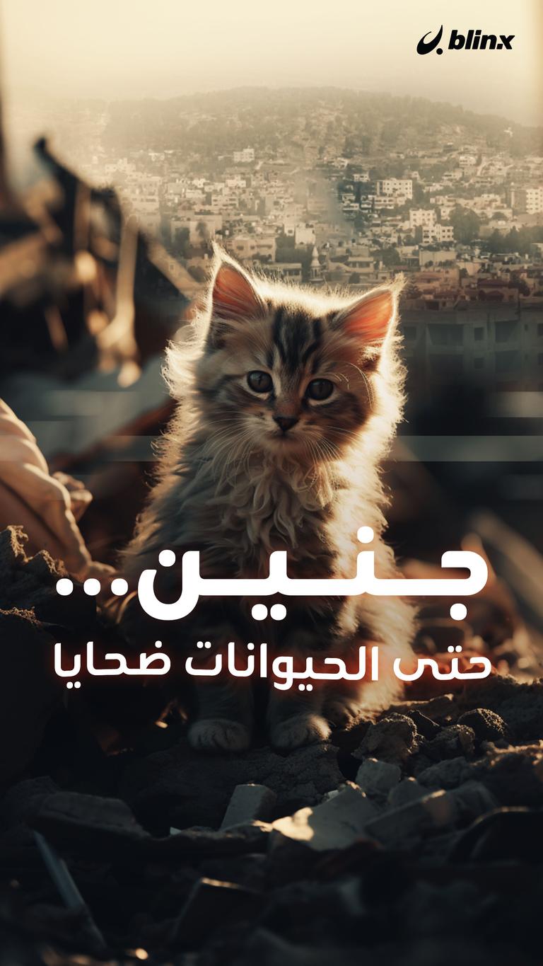 جنين.. حتى الحيوانات ضحايا
