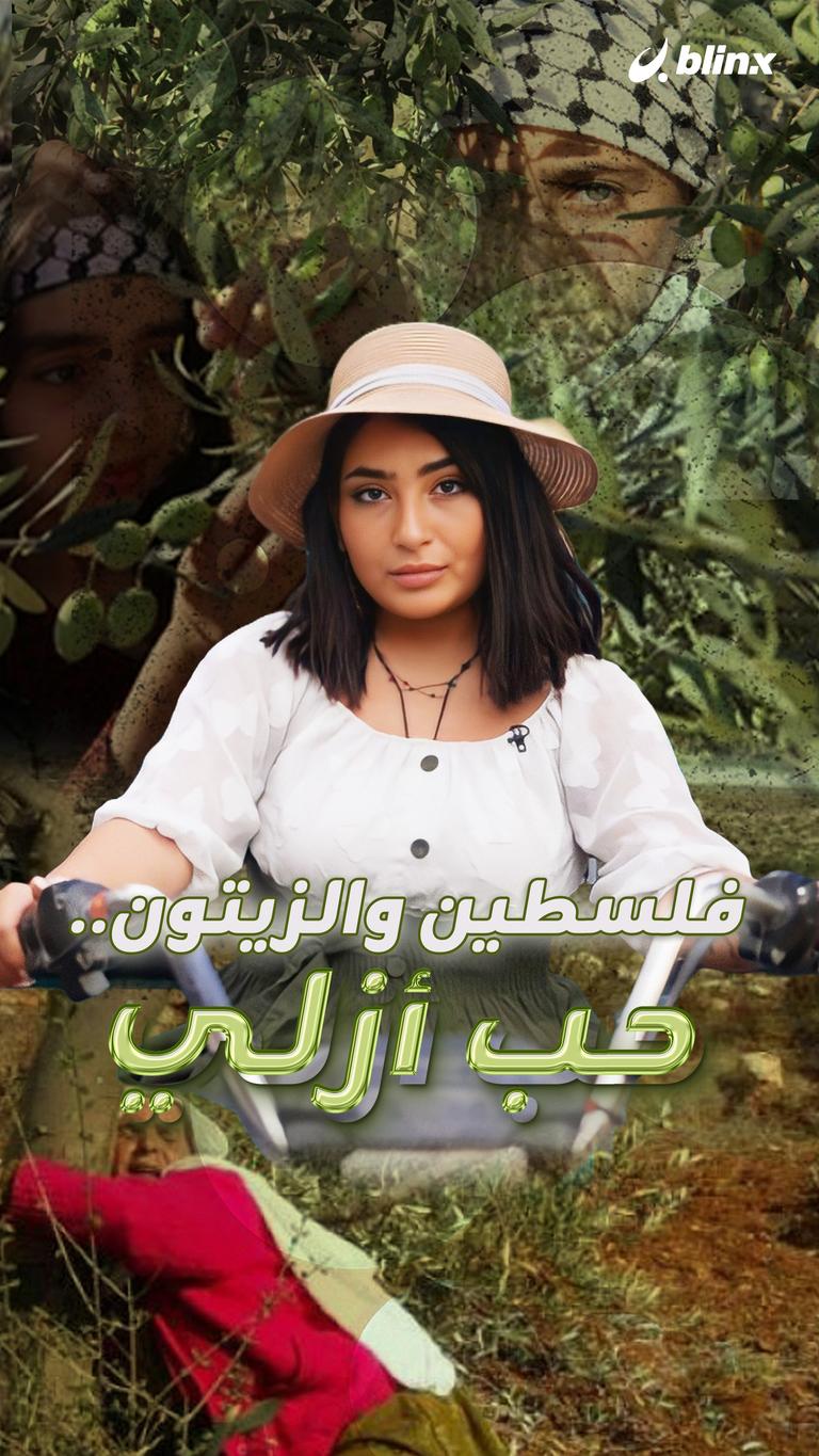 فلسطين والزيتون.. حب أزلي