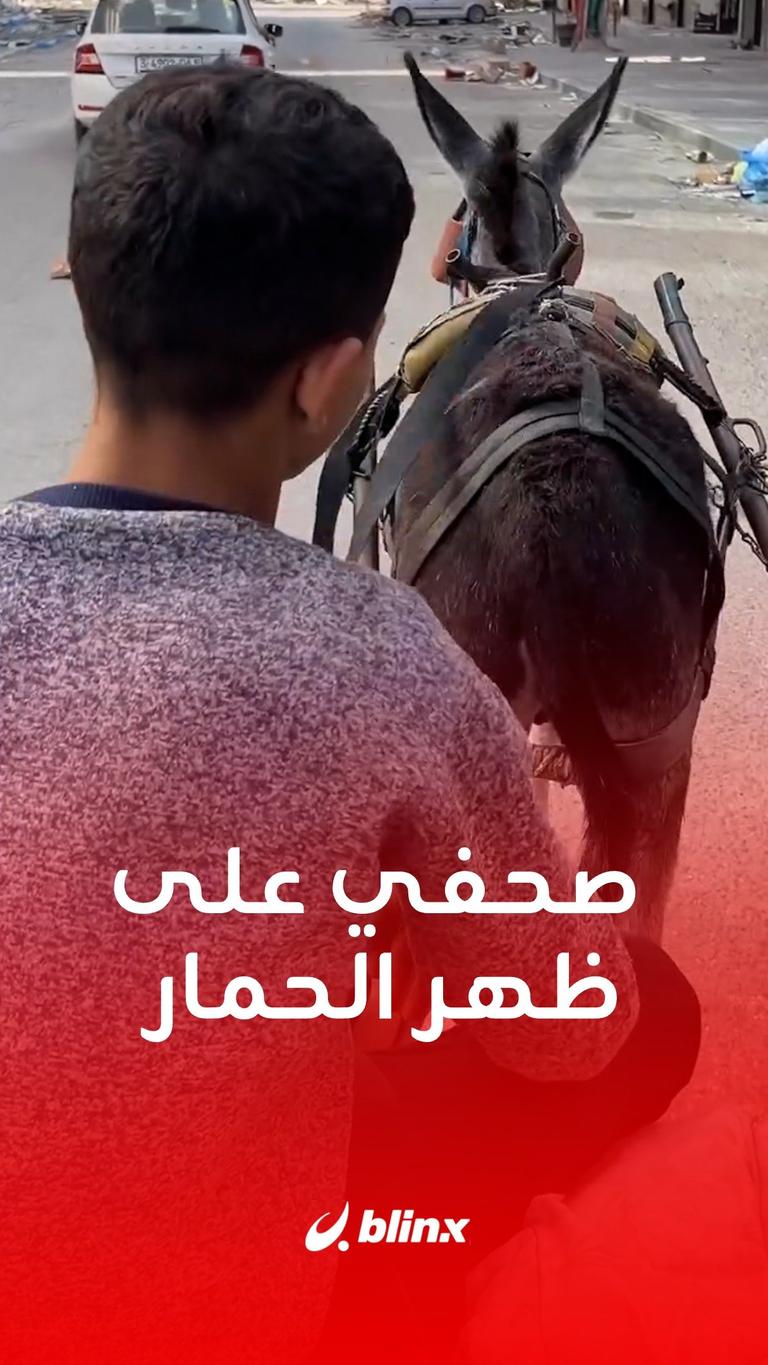 صحفي على ظهر الحمار