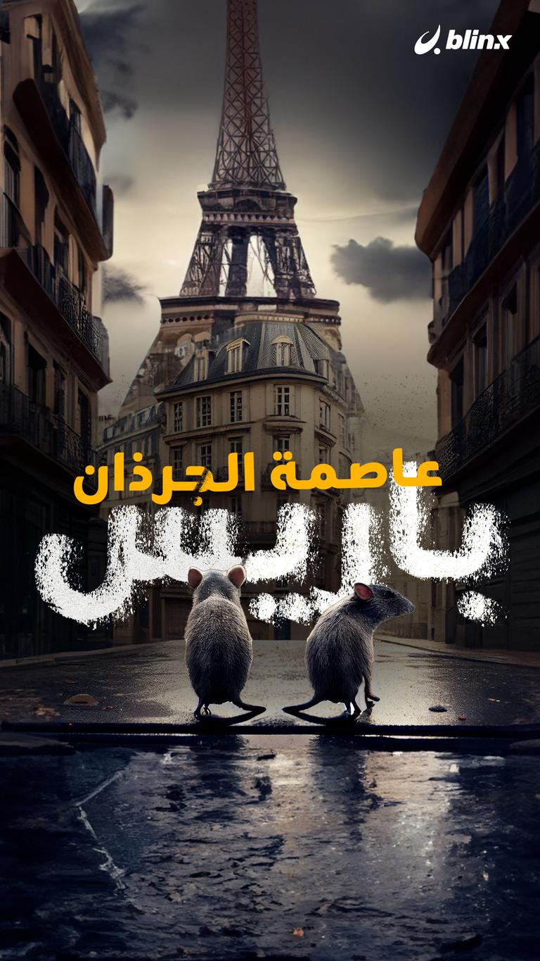 باريس.. عاصمة الجرذان!