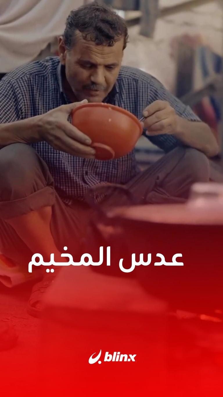 عدس المخيم