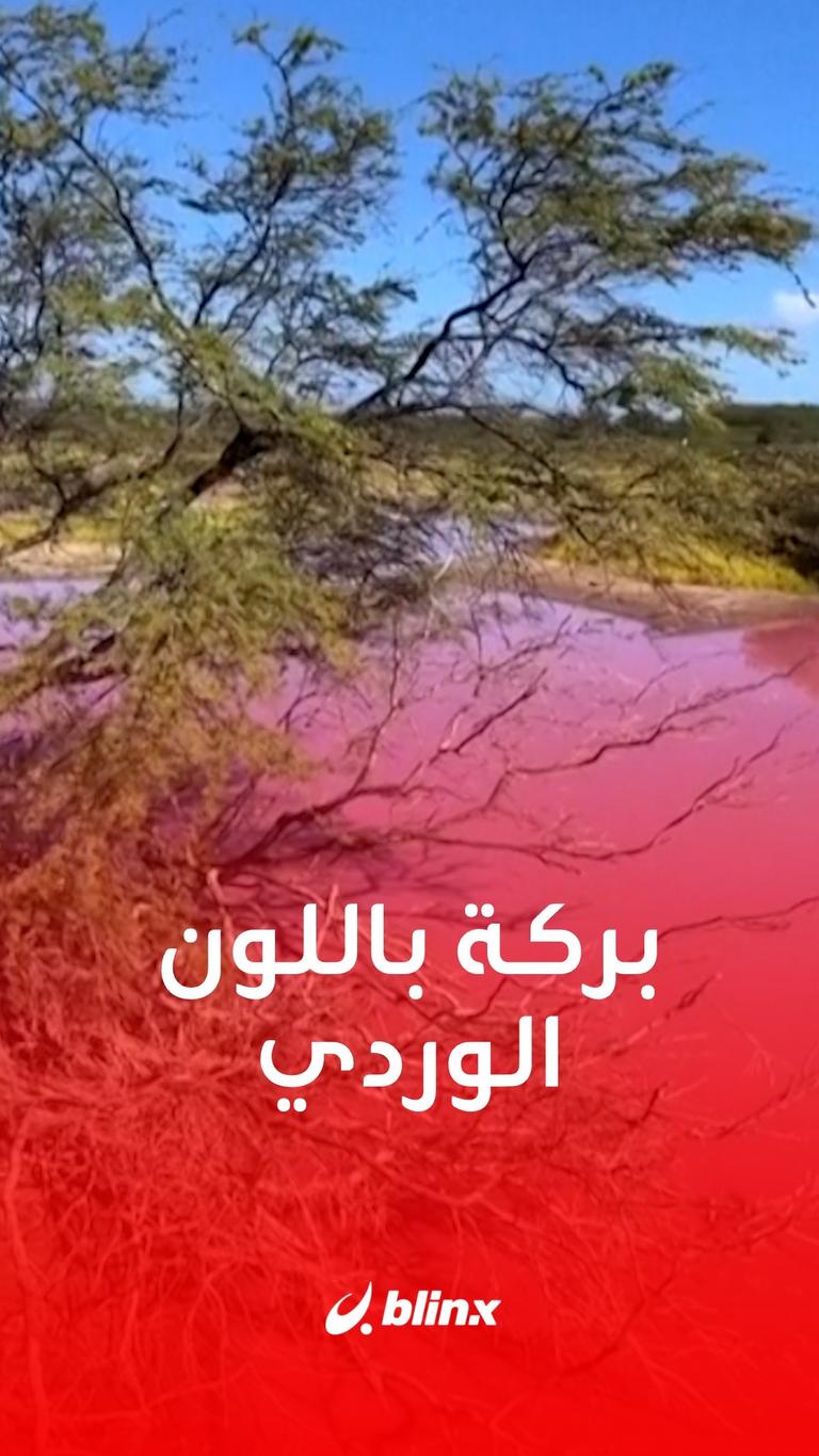 بركة باللون الوردي