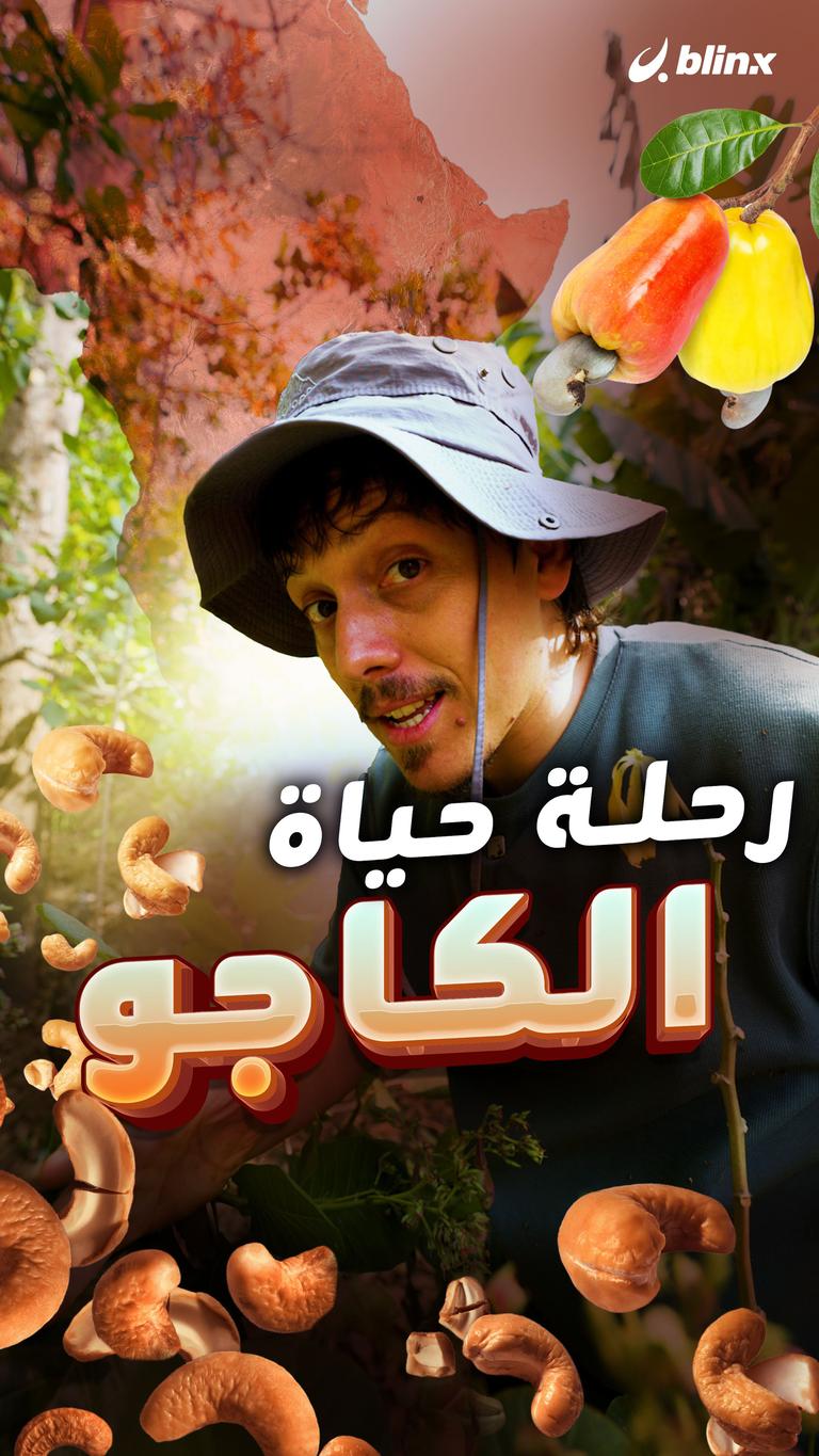 رحلة حياة الكاجو
