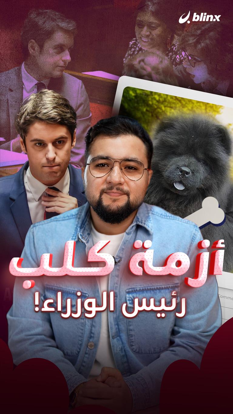 أزمة كلب رئيس الوزراء!