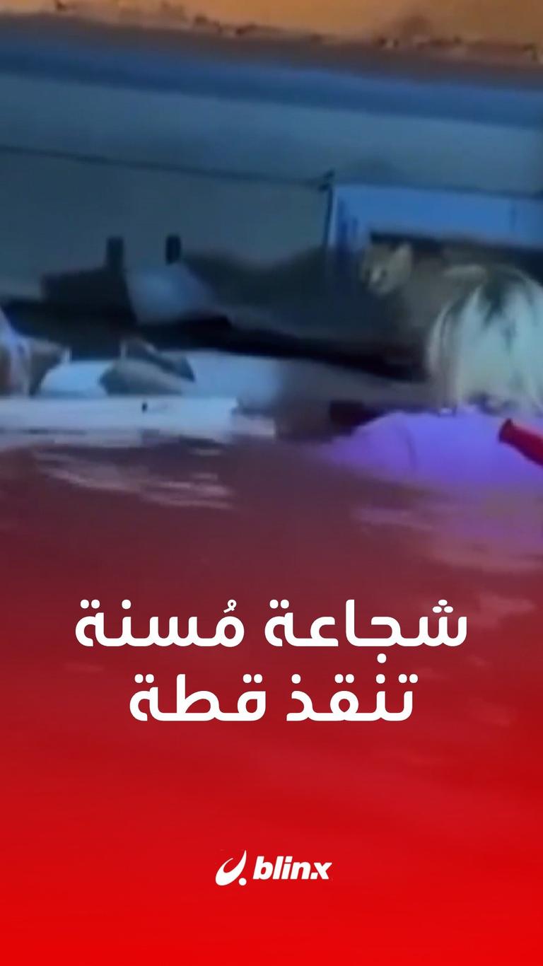 مُسنة تنقذ قطة