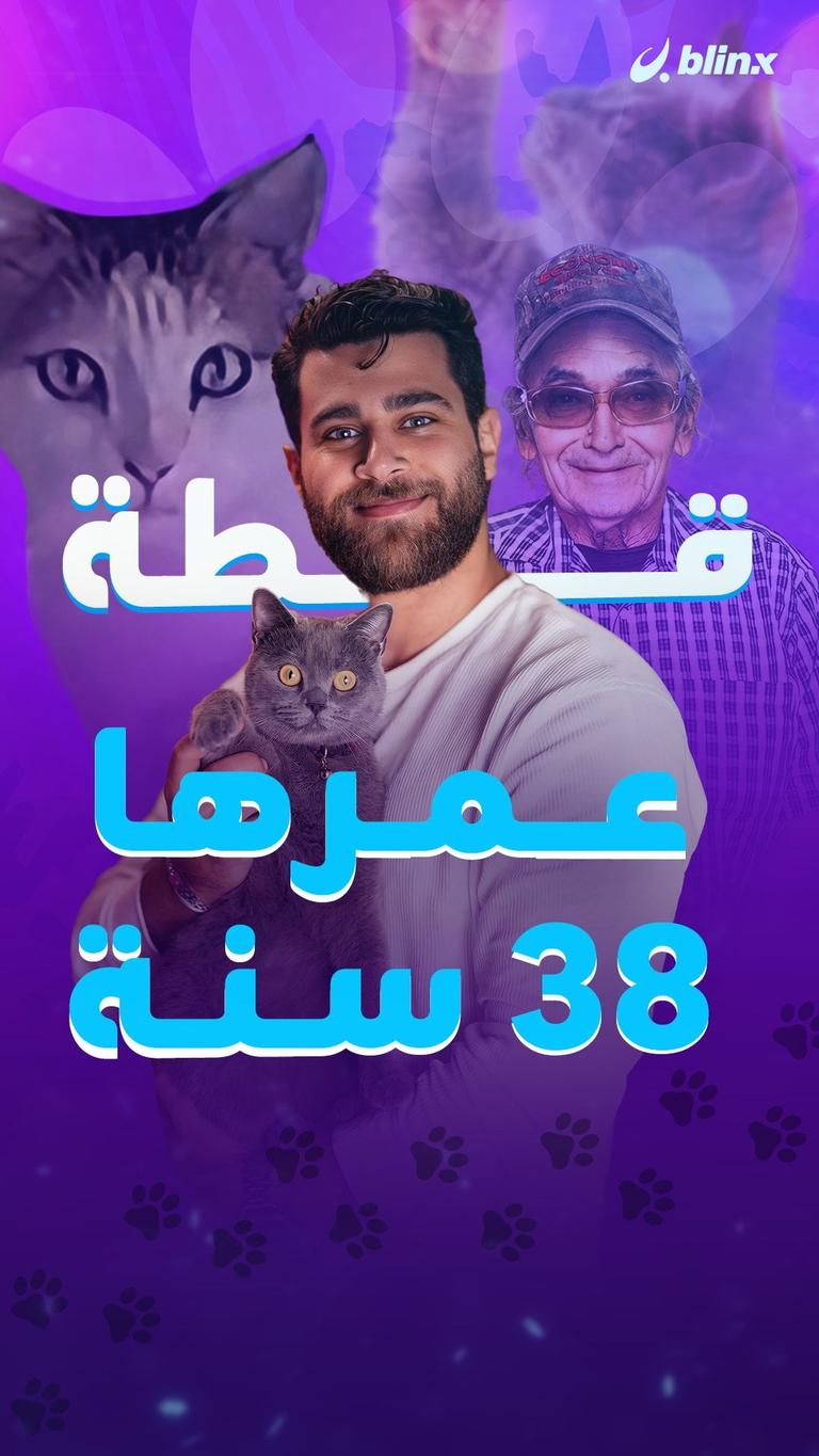 قطة عمرها 38 سنة