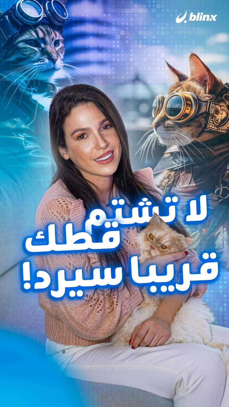 لا تشتم قطك...قريبا سيرد!