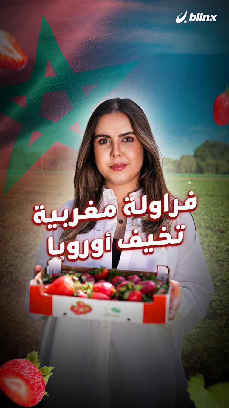 فراولة مغربية تخيف أوروبا
