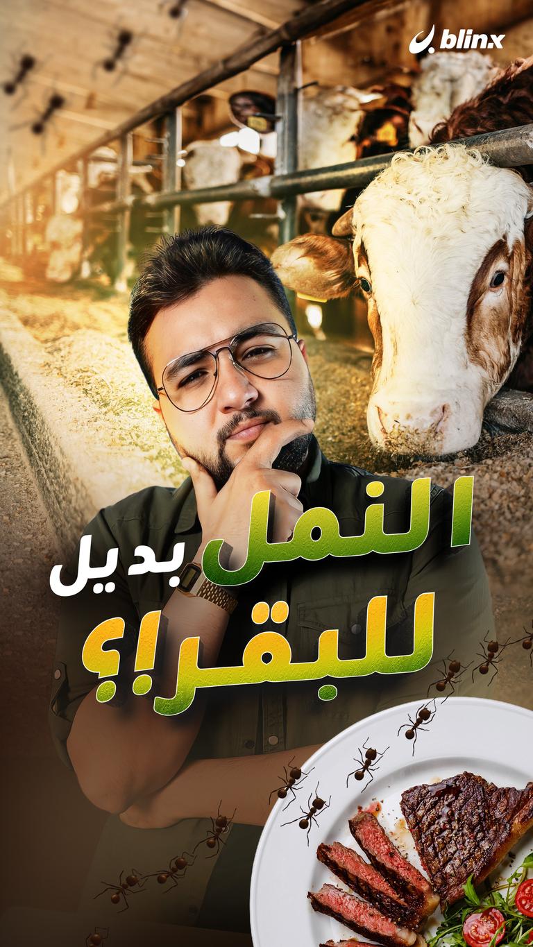 النمل بديل للبقر!؟
