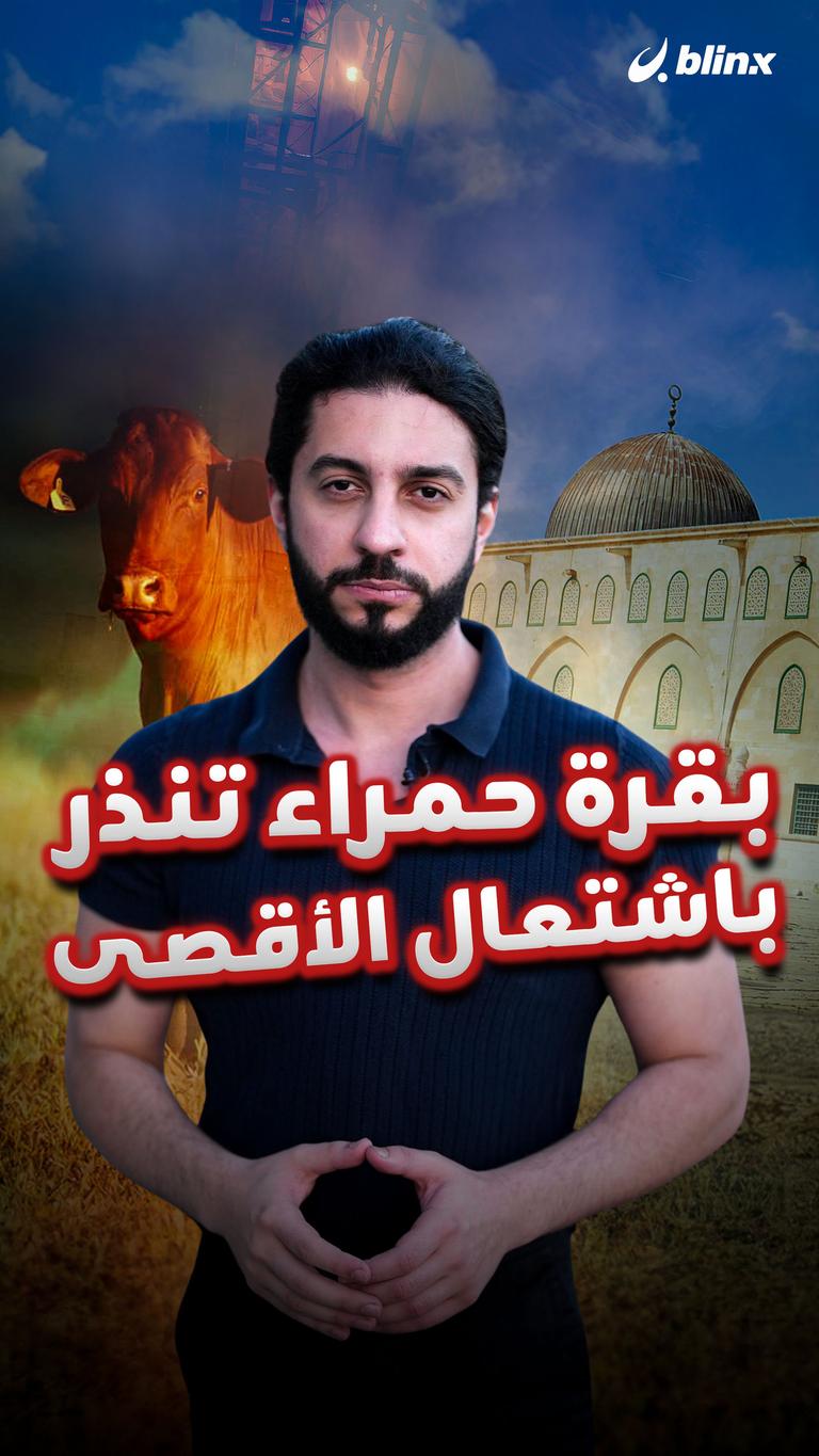 بقرة حمراء تنذر باشتعال الأقصى