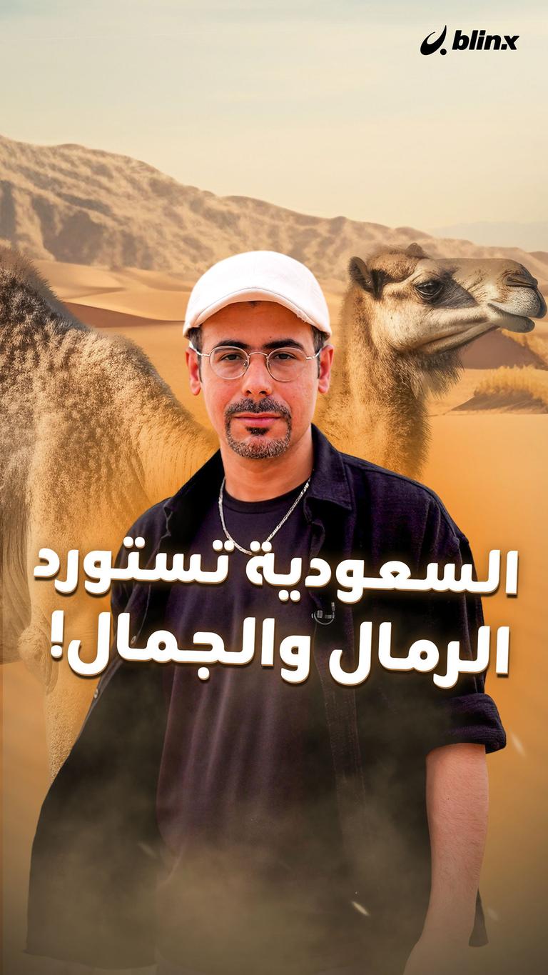 السعودية تستورد الرمال والجمال!