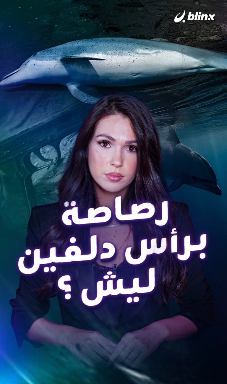 رصاصة برأس دلفين, ليش؟