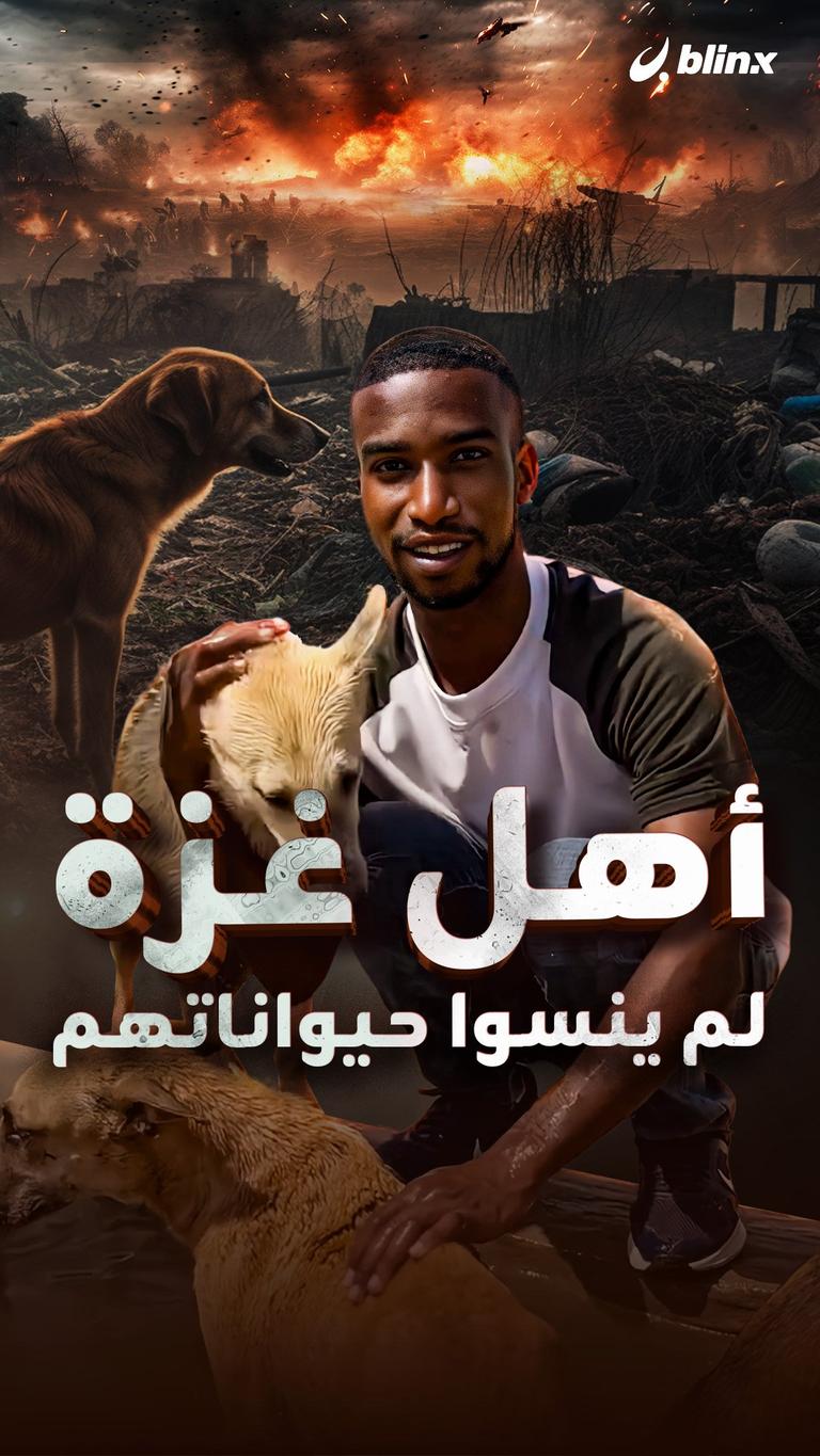 أهل غزة لم ينسوا حيواناتهم