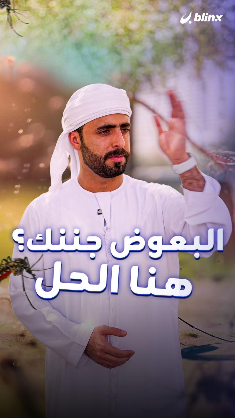 البعوض جننك؟ هنا الحل