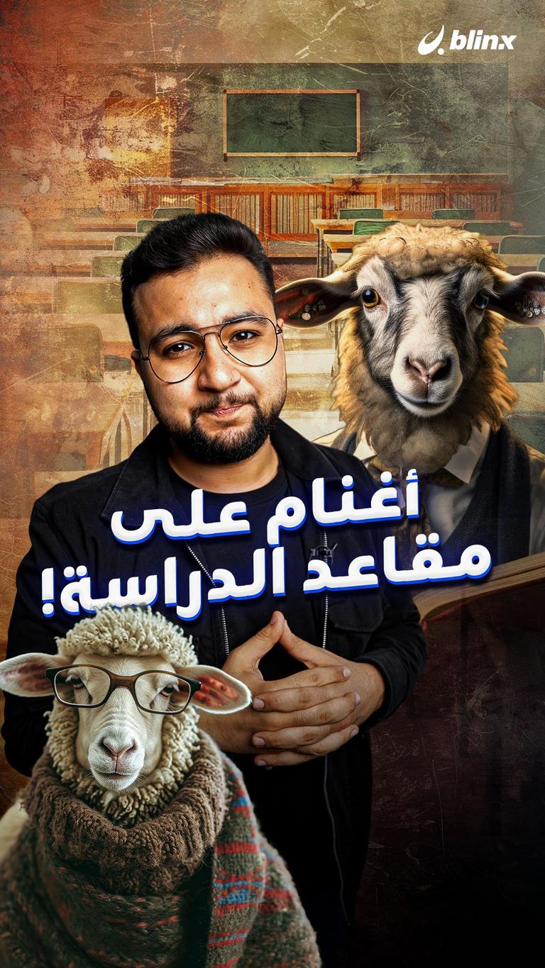 أغنام على مقاعد الدراسة!