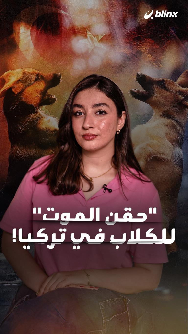 "حقن الموت" للكلاب في تركيا!