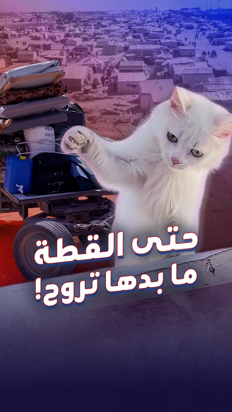 حتى القطة ما بدها تروح!
