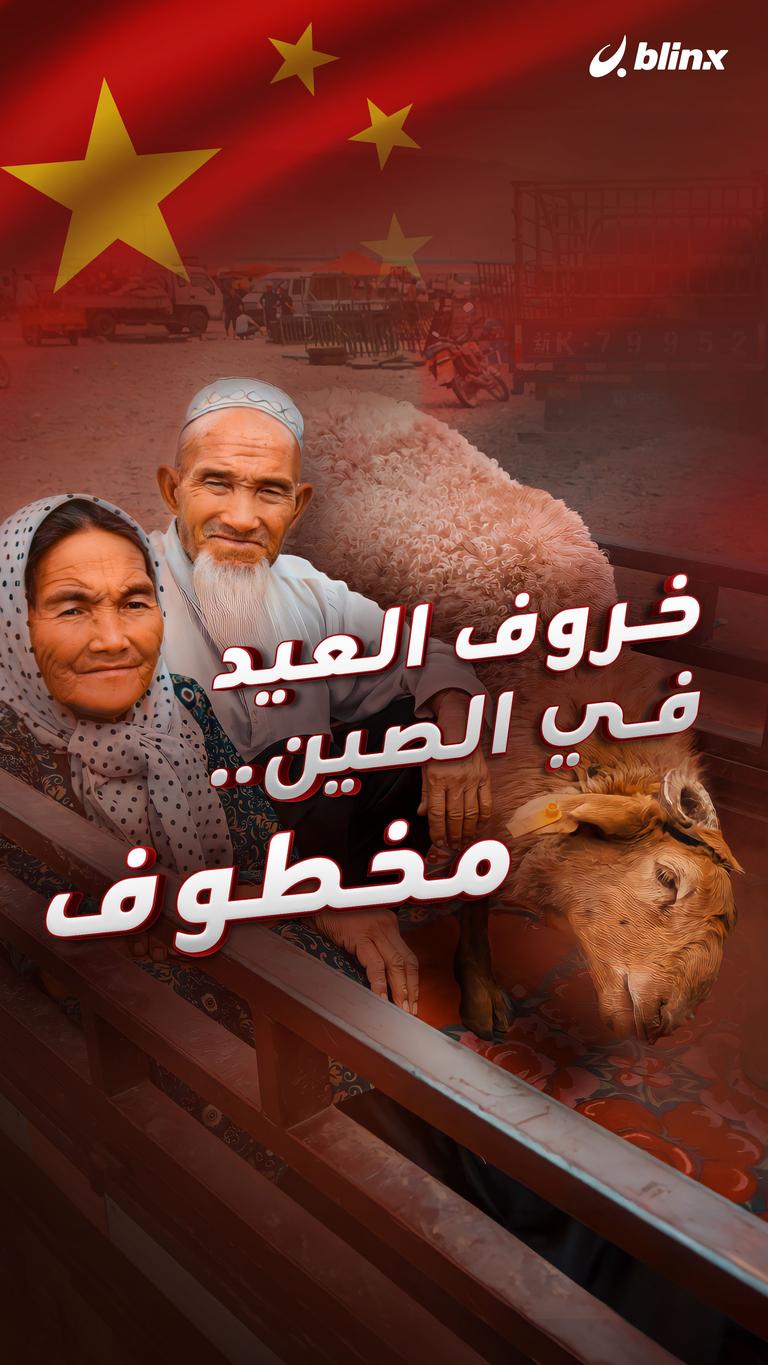 خروف العيد في الصين .. مخطوف