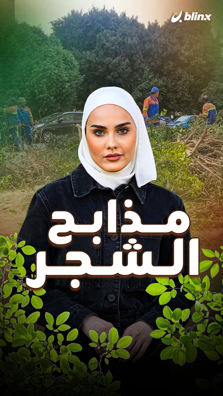 حديقة الميريلاند.. مذابح الشجر