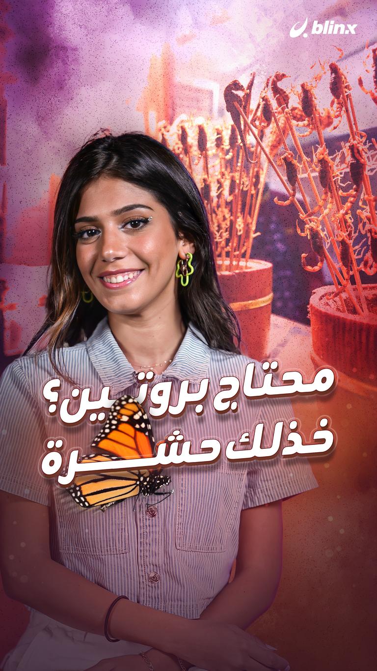 محتاج بروتين؟ خذلك حشرة
