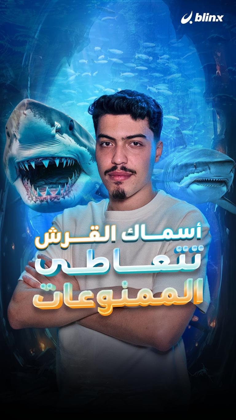 أسماك القرش تتعاطى الممنوعات
