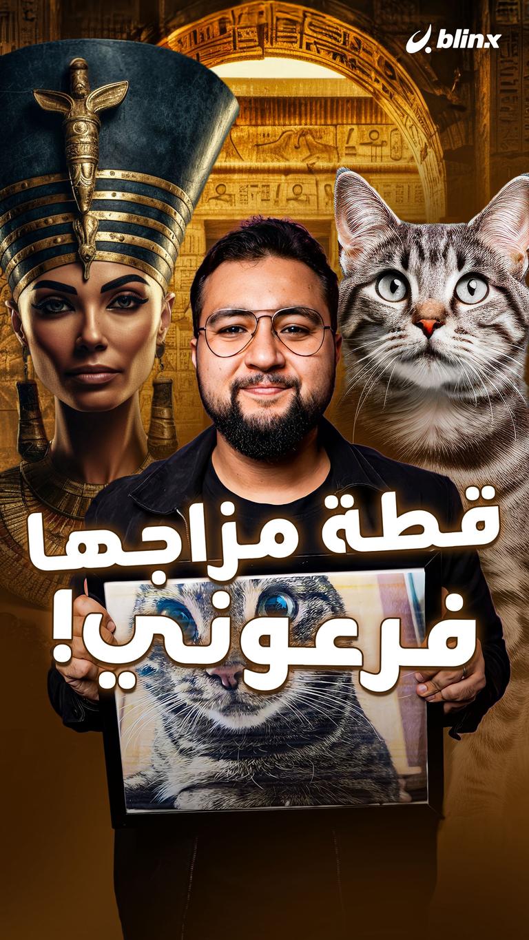 قطة مزاجها فرعوني!